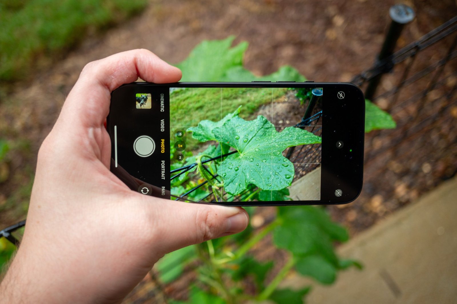 Apple iPhone 15 Application Application