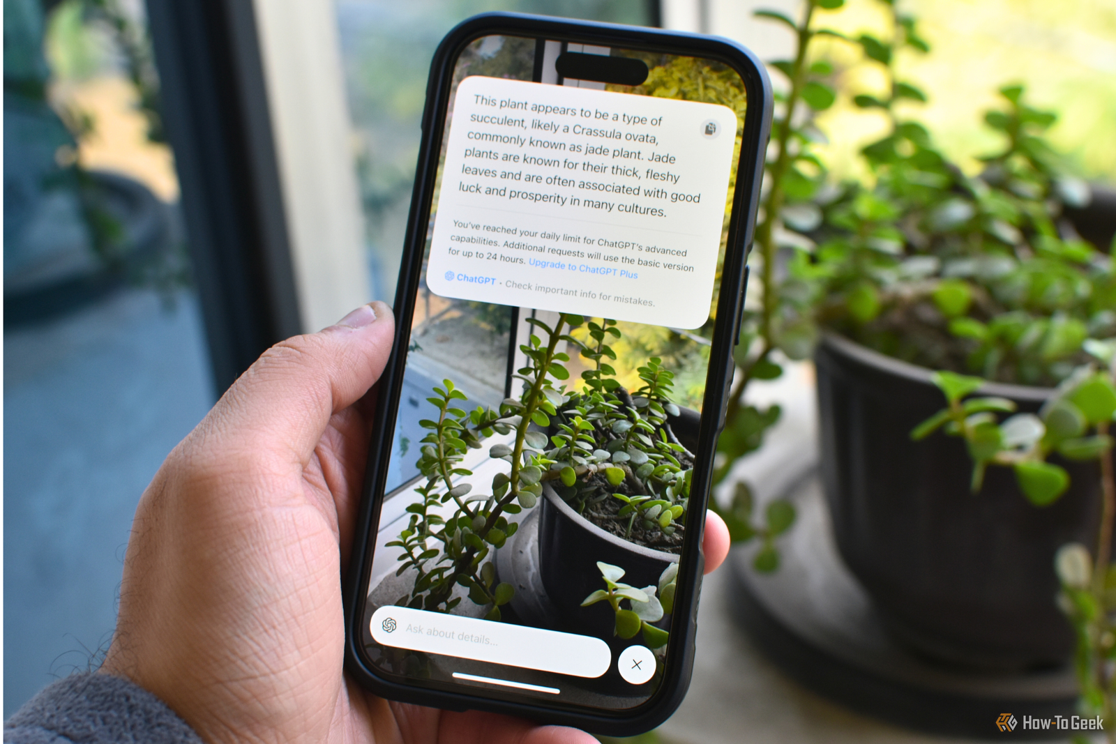 Un iPhone 16 avec la fonctionnalité Visual Intelligence à l'écran.
