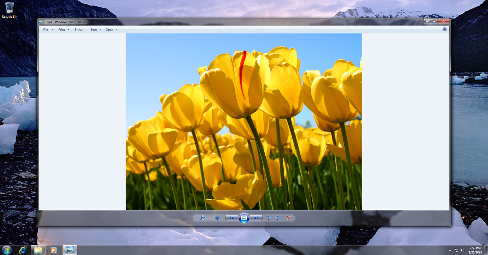 Visionneuse de photos de Windows 7.
