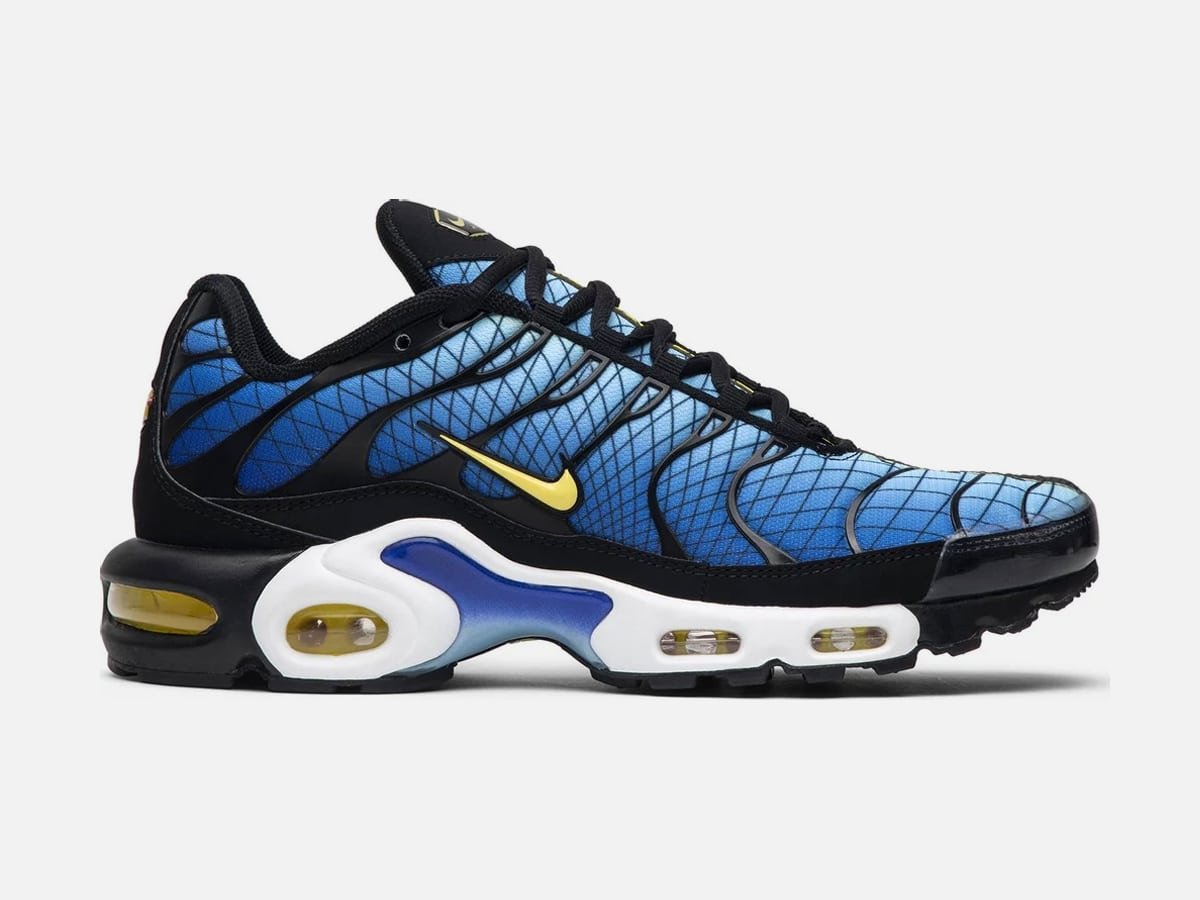 Image du produit de Nike Air Max Plus «gourmand»