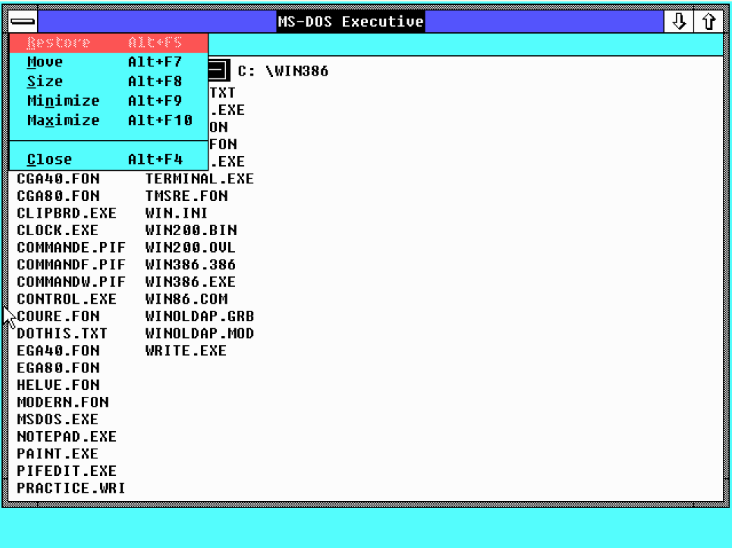 La fenêtre contrôle dans Windows 2.0.
