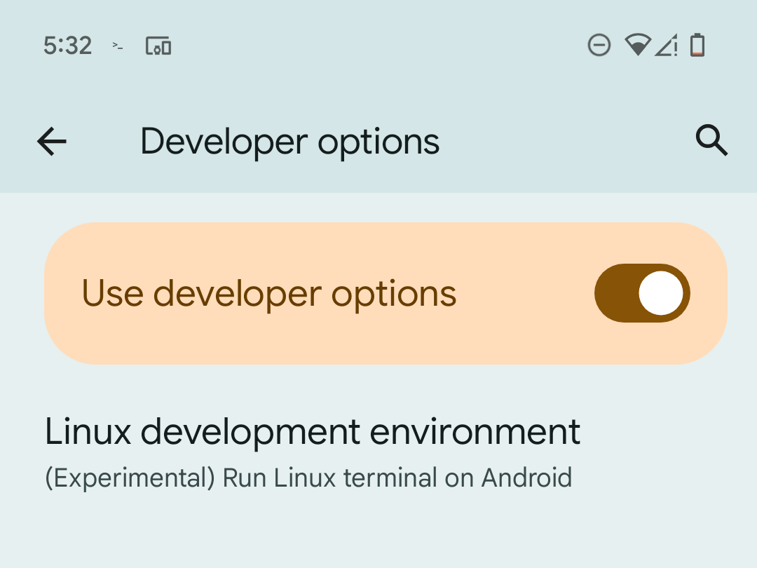 L'option d'environnement du développeur Linux dans les options de développeur Android sur un pixel.