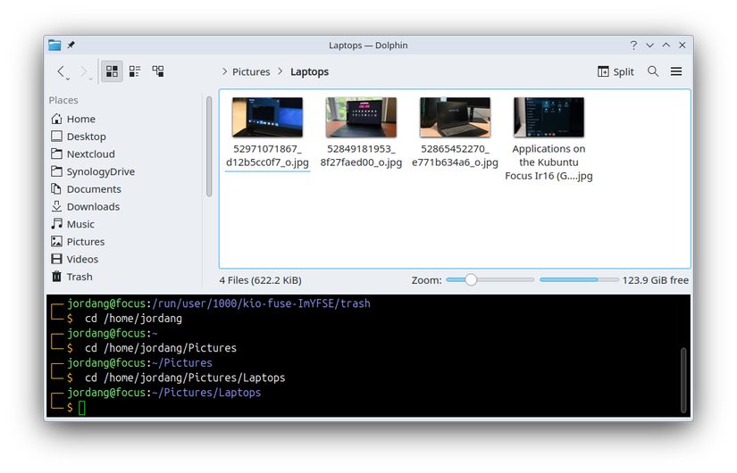 Dolphin File Manager avec un volet de terminal ouvert.