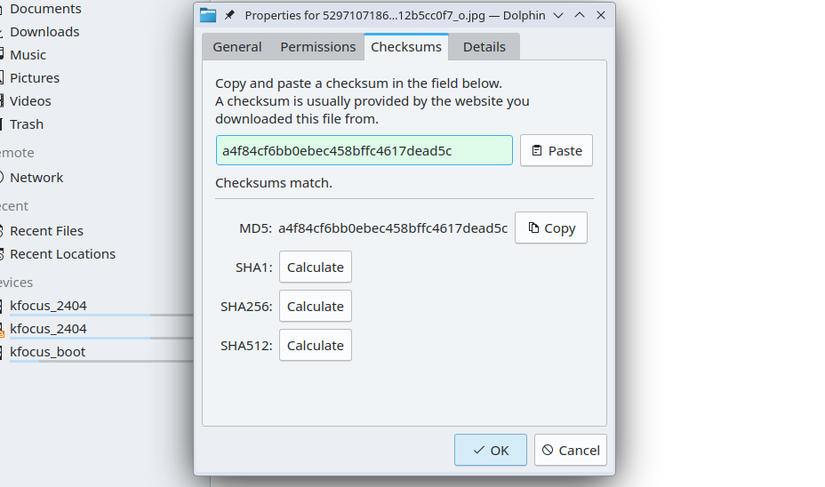 Boîte de dialogue Dolphin File Manager du gestionnaire.
