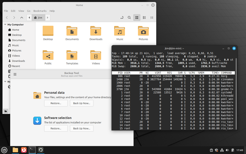 Cinnamon Desktop affichant des exemples d'applications ouvertes sur le bureau.