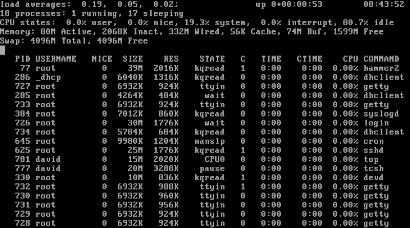 Dragonfly BSD exécutant la commande supérieure de la console.