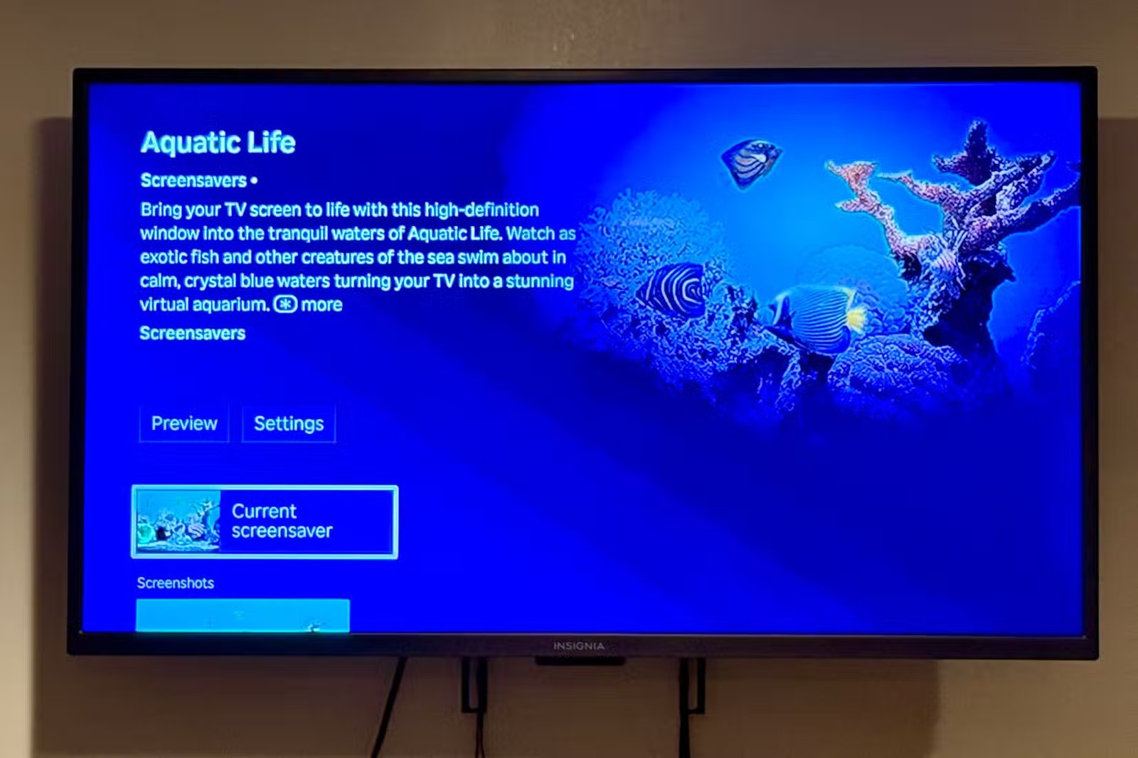 Définition de l'économiseur d'écran Aquatic Life sur votre économiseur d'écran Roku.
