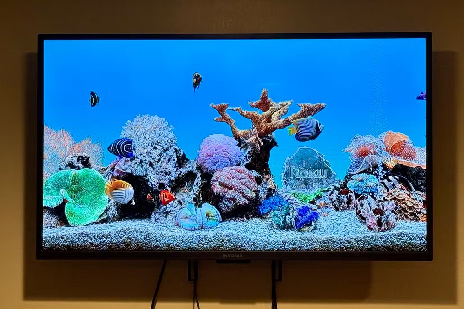 Économiseur d'écran Aquatic Life sur l'appareil Roku.