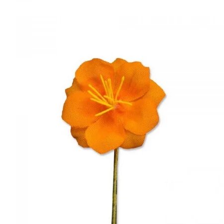 Orange Exotique Caraïbes Boutonnière Boutonnière Fleur Fort Belvédère
