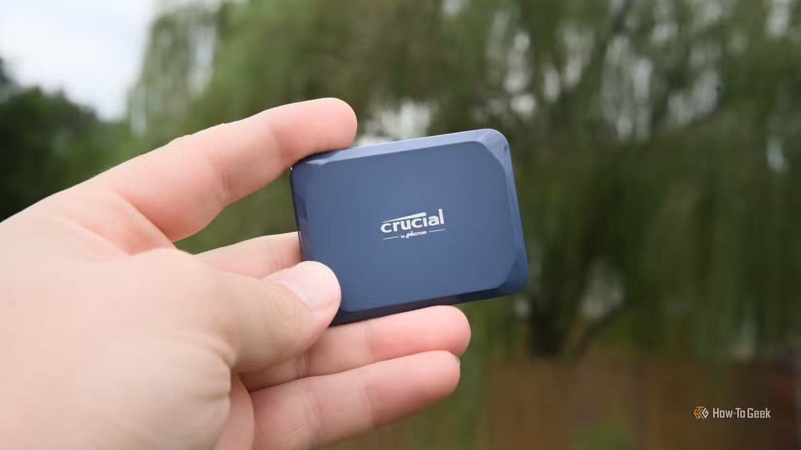 Une main tenant le SSD portable Crucial X10 avec un saule pleureur en arrière-plan.