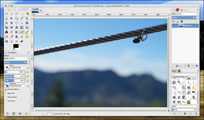Une capture d'écran de l'éditeur d'images GIMP ouvert. Il y a une image d’une araignée marchant sur un câble.