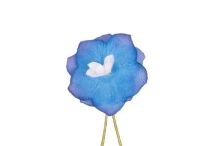 Boutonnière Delphinium Bleu Boutonnière Fleur Fort Belvédère