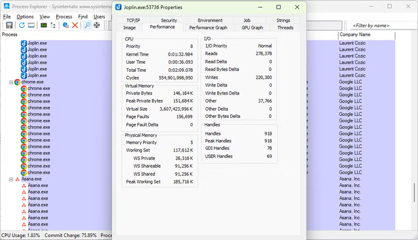 Process Explorer affichant les détails de Joplin.