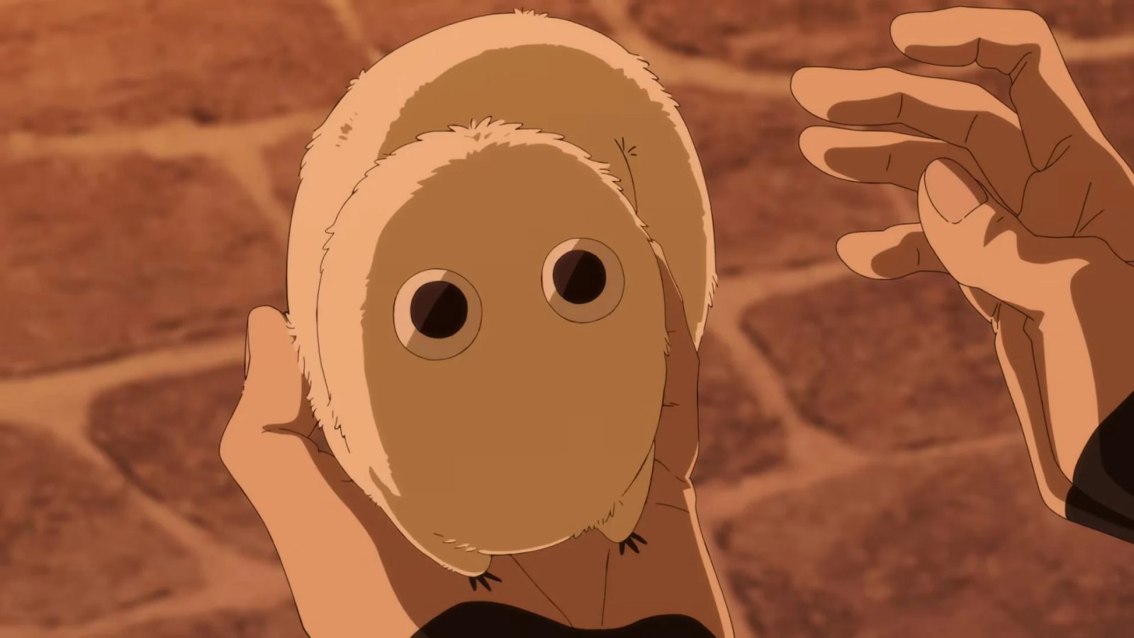 Chapeau de Sorcière Atelier Bug Films Crunchyroll