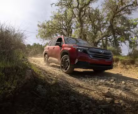 Subaru Forester hybride 2026 roulant sur un sentier de terre 
