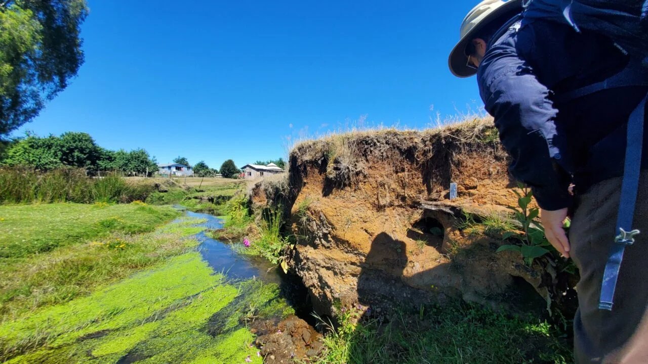 Claudio Latorre inspectant le bois Monte Verde