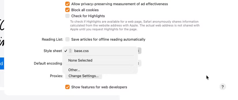 Paramètres Safari affichant une feuille de style personnalisée utilisée.