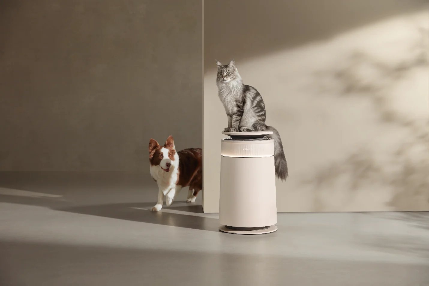 Purificateur d'air FurCatch FP10 de Dreame