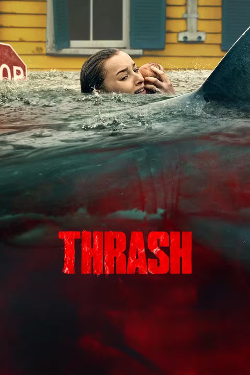thrash-affiche.jpg