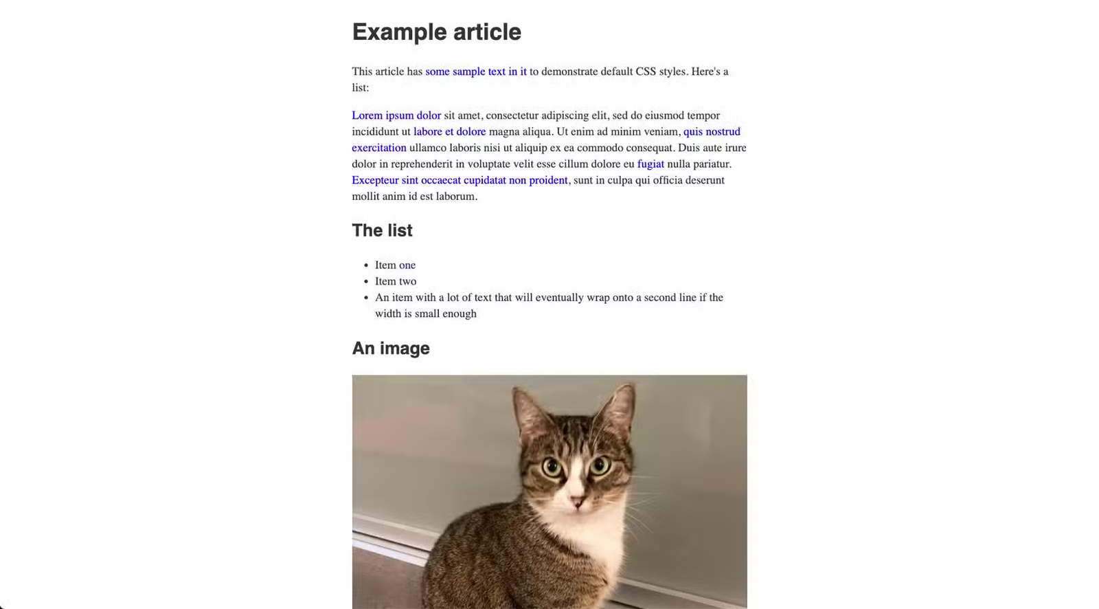Un exemple de fichier HTML affiché dans un navigateur avec des styles minimaux.