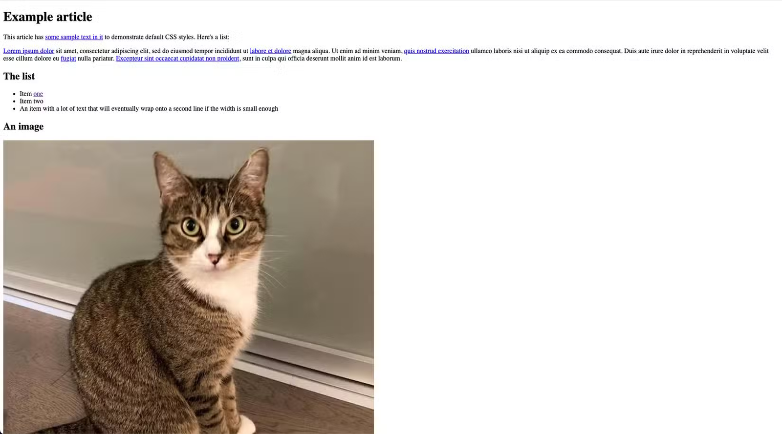 Un exemple de fichier HTML affiché dans un navigateur avec des styles par défaut.