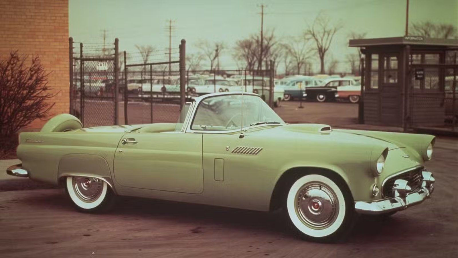 Ford Thunderbird 1955