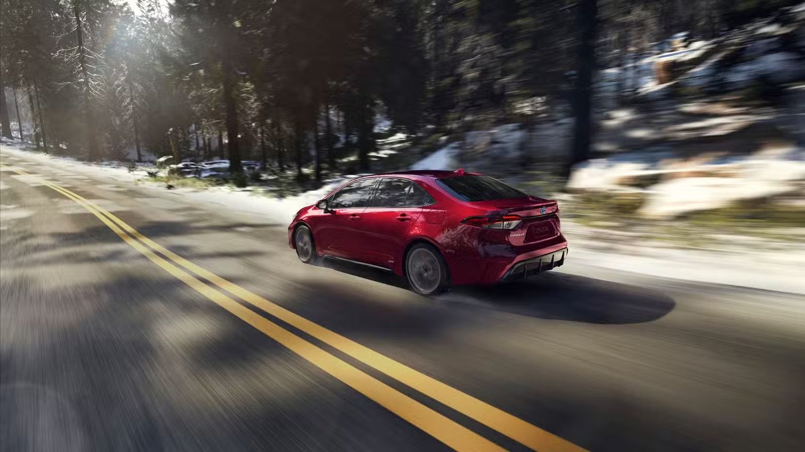 Plan 3/4 arrière dynamique d'une Toyota Corolla hybride 2025 rouge roulant sur une route de campagne bordée d'arbres.