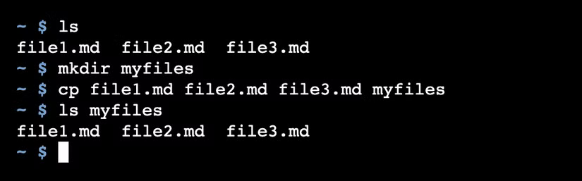 La commande Linux cp créant des copies de trois fichiers dans un sous-répertoire.