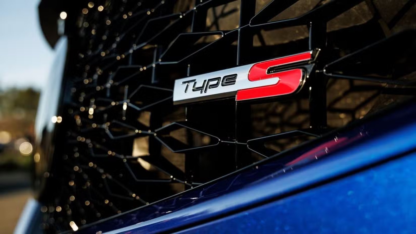Gros plan de l'insigne Type S sur la calandre d'une Acura MDX Type S 2022 bleue.