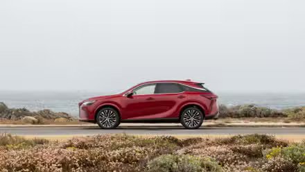 Vue de profil latérale d'un Lexus RX 350h 2025 