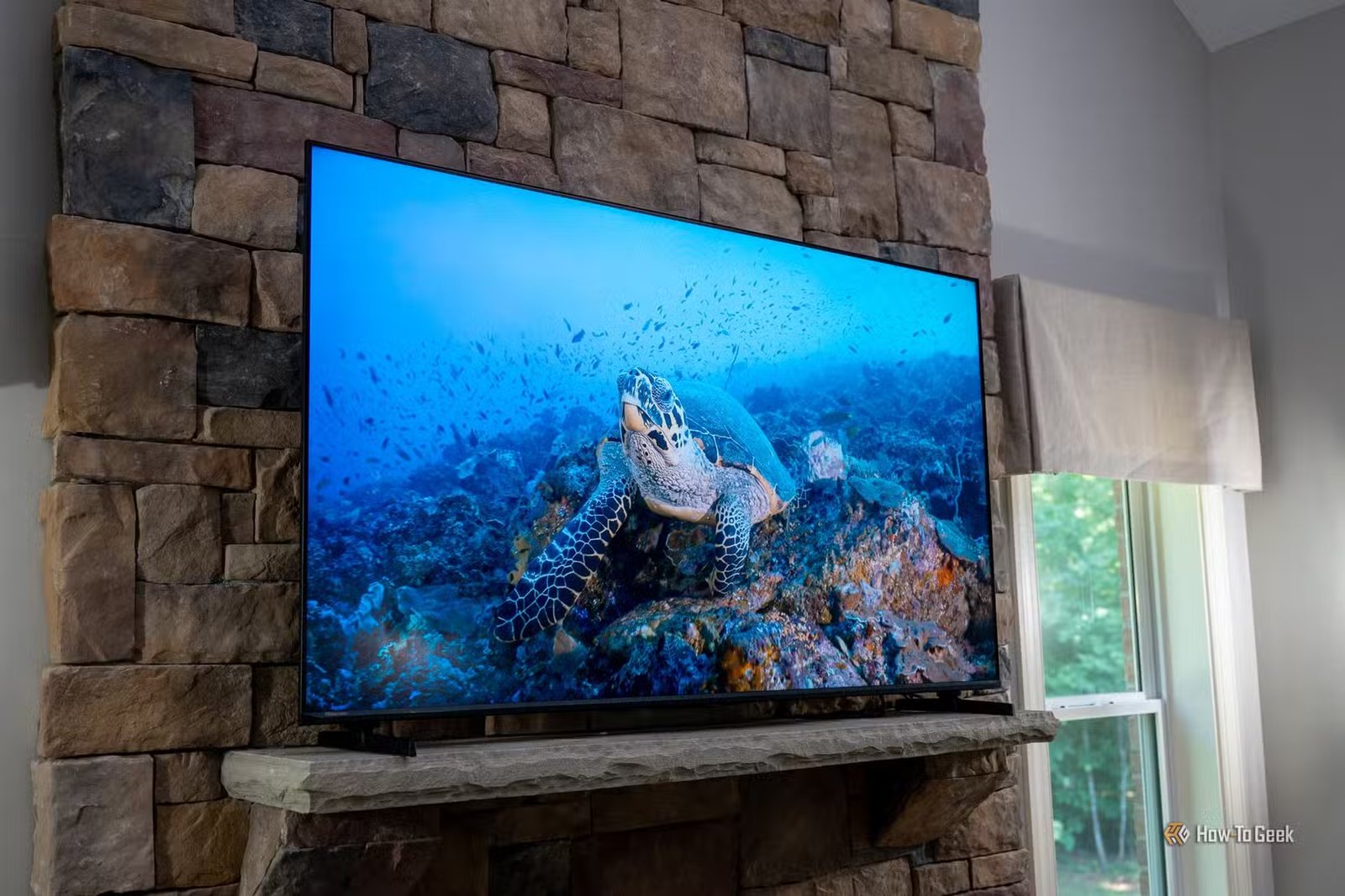 Téléviseur Hisense U6SF Pro monté sur une cheminée en pierre montrant une tortue de mer nageant sur un récif de corail coloré.
