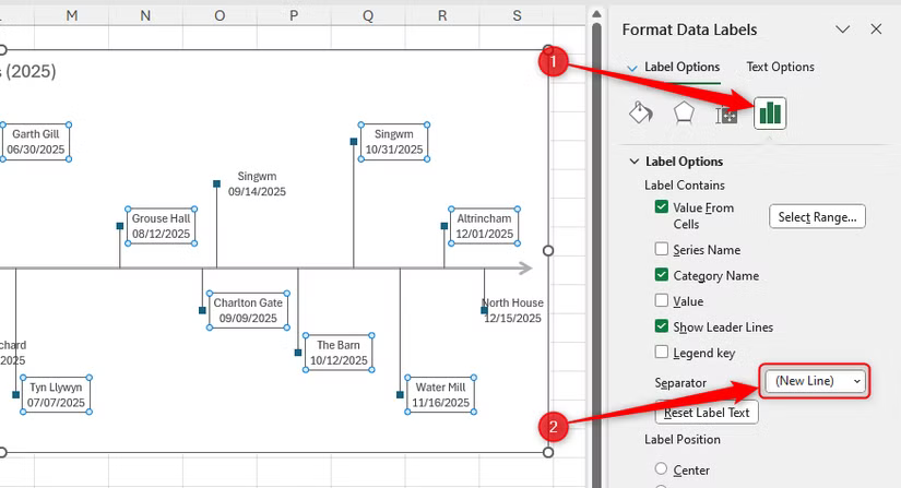 Nouvelle ligne est sélectionné comme séparateur d’étiquettes de données dans Excel.