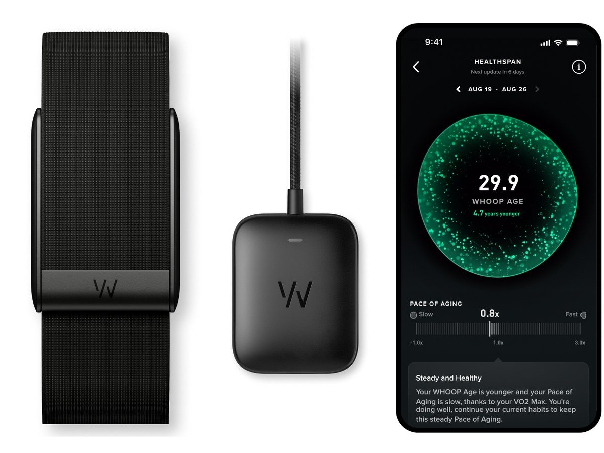 Qu'est-ce qu'un abonnement WHOOP Peak est livré avec : l'appareil 5.0, le PowerPack sans fil et l'écran Healthspan