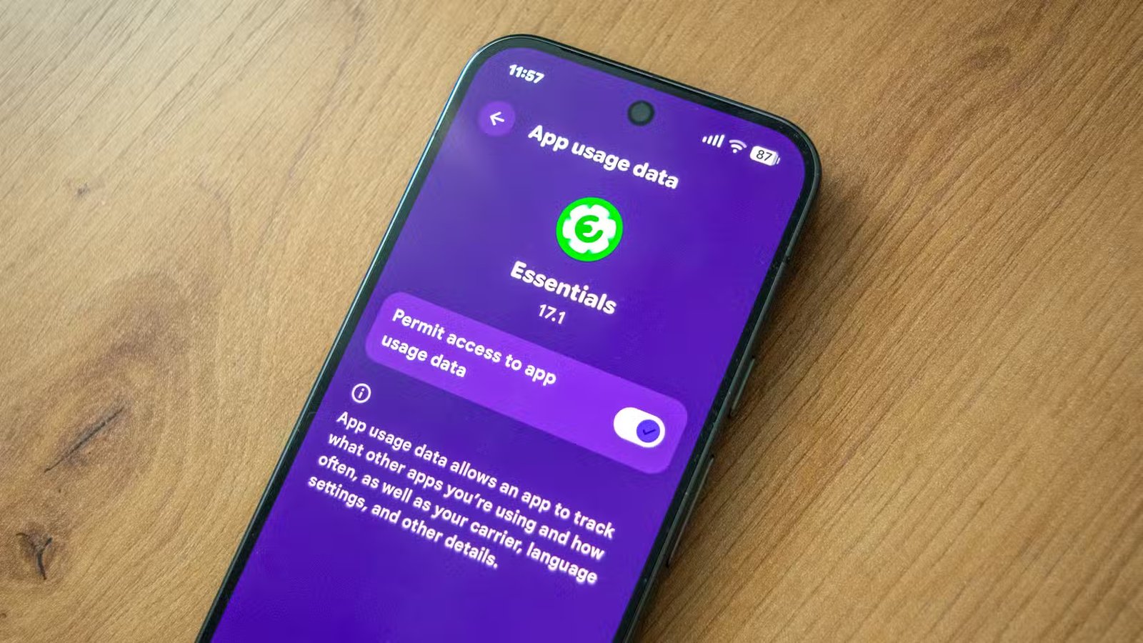 Un Pixel 10 Pro posé sur une table affichant le bouton de données d'utilisation de l'application.