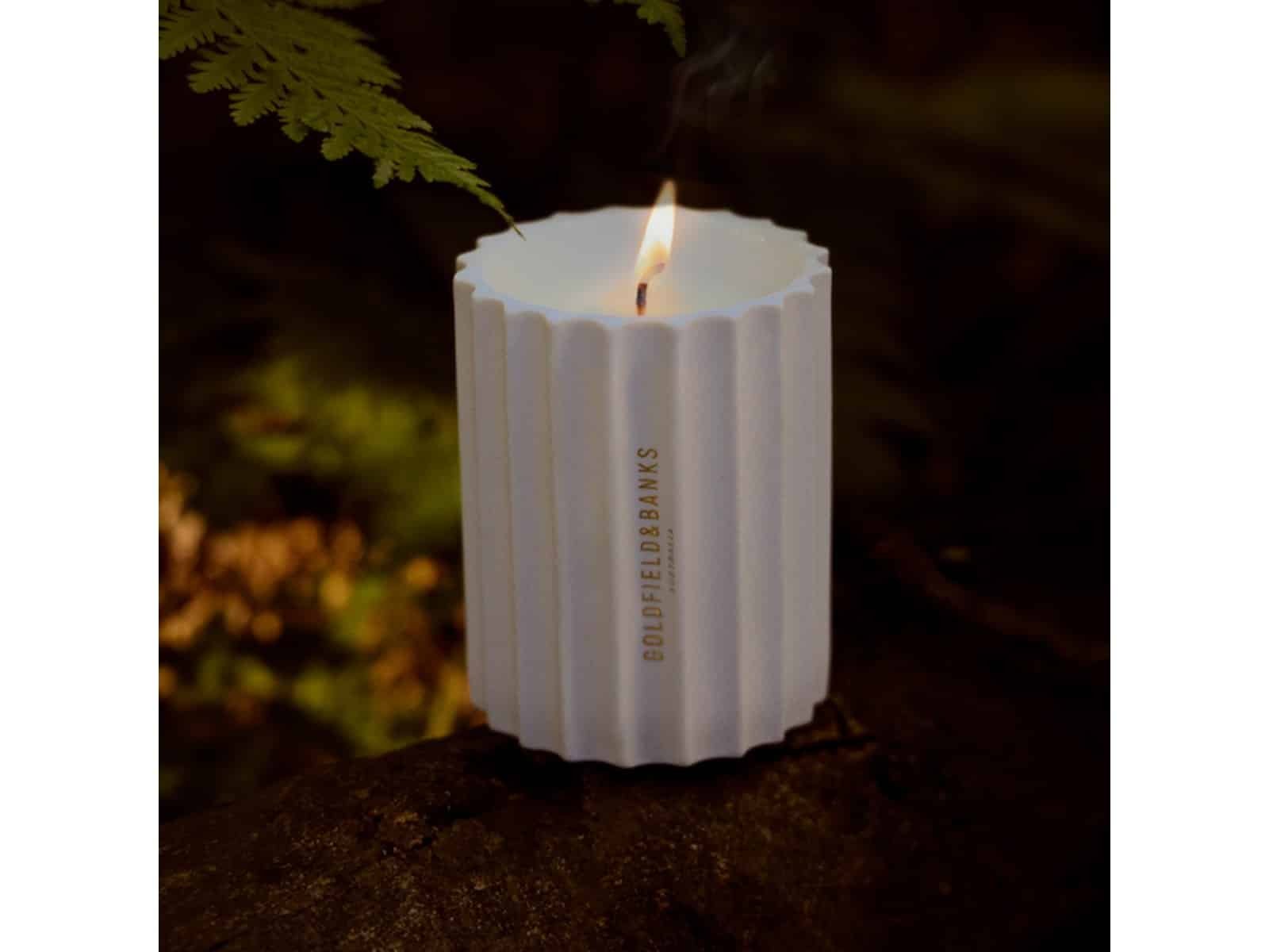 Sous l'arbre à pluie | Bougie parfumée boisée-musquée | Champs aurifères et banques