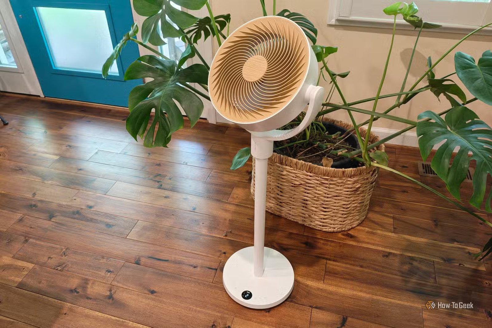 Ventilateur sur pied de circulation SwitchBot à côté d'une plante d'intérieur. 