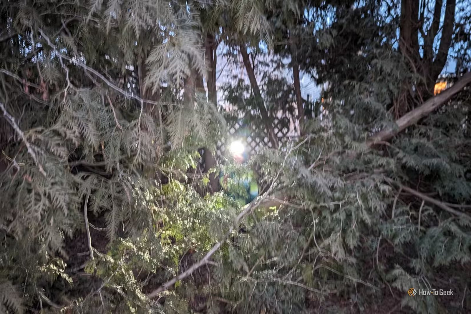 PXL_20240220_233533818.NUIT