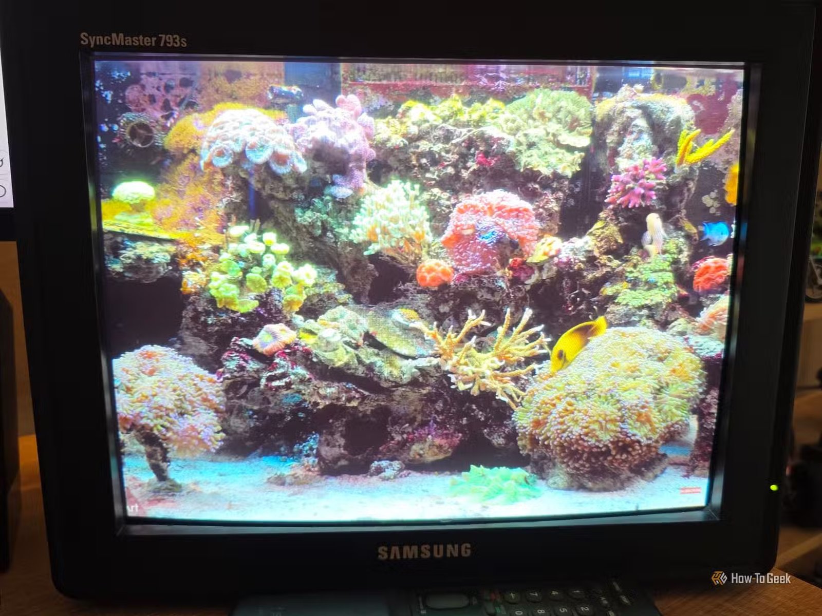 Un moniteur CRT avec une vidéo d'un aquarium jouant dessus.