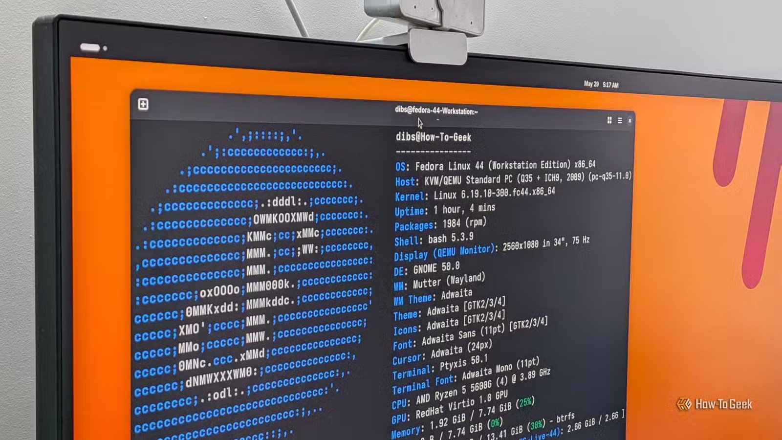 Un moniteur PC avec un terminal Linux ouvert affichant la sortie FastFetch pour Fedora.