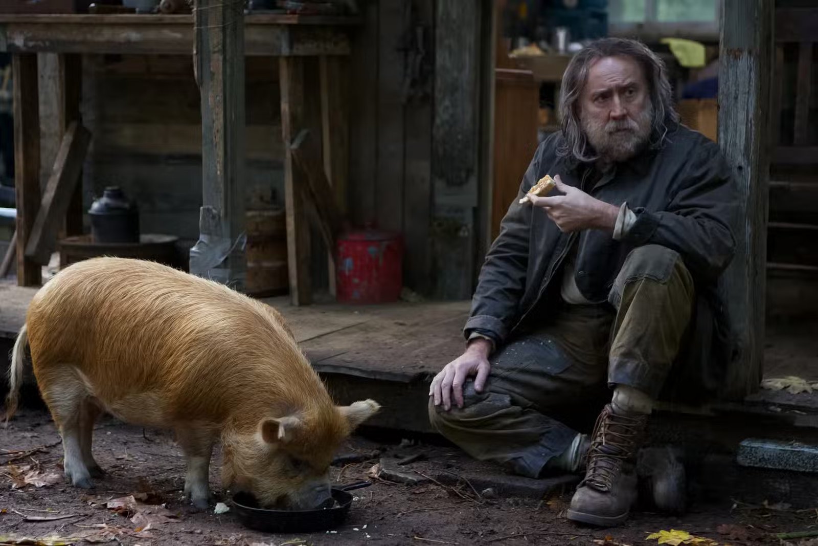 Nicolas Cage et son cochon dans le film Cochon